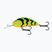 Salmo Hornet FL žalias tigrinis vobleris QHT074