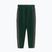 Vyriškos kelnės Pitbull Track Pants Powers bottle green
