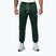 Vyriškos kelnės Pitbull Trackpants Tape Logo Terry Group bottle green