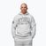 Vyriškas džemperis Pitbull Badger Hooded grey/melange