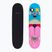 Klasikinė riedlentė Fish Skateboards Pro Paul 8.25"