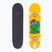 Klasikinė riedlentė Fish Skateboards Beginner Superior 8.0"