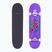 Klasikinė riedlentė Fish Skateboards Beginner Huron 8.0"