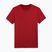 Vyriški marškinėliai 4F M260 raudona/melsva
