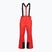 Vyriškos slidinėjimo kelnės 4F Fnk M1155 red
