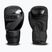 Bokso pirštinės StormCloud Lynx 2.0 black/black