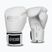 Bokso pirštinės StormCloud Muay Thai Blizzard 2.0 white/silver
