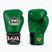 Bokso pirštinės RAJA BOXING Single Standard Genuine Leather green