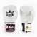 Bokso pirštinės RAJA BOXING Single Standard Genuine Leather white