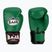 Bokso pirštinės RAJA BOXING Single Semi Leather green