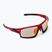 GOG Tango C raudoni/juodi/polichromatiniai raudoni E559-4 dviračių akiniai