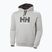 Vyriškas džemperis Helly Hansen HH Logo Hoodie grey/melange