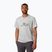 Helly Hansen Nord Graphic vyriški trekingo marškinėliai šviesiai pilki 62978_950
