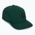 Kepurė su snapeliu Helly Hansen Brand opal green