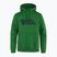 Vyriškas džemperis Fjällräven Logo Hoodie palm green