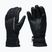 Žygio pirštinės Peak Performance Unite Glove black