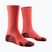 Vyriškos kojinės X-Socks Trailrun Discover Crew fluo red/namib red
