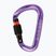 Karabinas Mammut Classic HMS Screwgate screw gate/alpine calamint