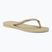 Moteriškos šlepetės per pirštą Havaianas Slim sand grey / light golden