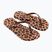 Moteriškos šlepetės per pirštą Ipanema Animal Print beige/bronze/bronze