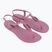 Moteriški sandalai Ipanema Class Linea lilac/lilac/burgundy