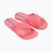 Moteriškos šlepetės Ipanema Sense Slide pink/blue