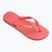 Šlepetės per pirštą Havaianas Brasil Logo tropical coral