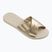 Moteriškos šlepetės Havaianas Aqua Metallic beige