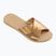 Moteriškos šlepetės Havaianas Aqua Metallic golden