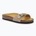 Scholl Estelle Sue dark beige moteriškos šlepetės