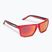 Cressi Rio Crystal raudoni/raudoni veidrodiniai akiniai nuo saulės XDB100110
