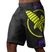 Hayabusa Icon Fight MMA šortai juodai geltoni ICFS-BK-L