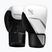 Bokso pirštinės Hayabusa E1 Boxing white/silver