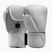 Bokso pirštinės Hayabusa T360 Leather white
