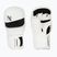Graplingo pirštinės Hayabusa T3 Hybrid white/black