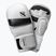 Graplingo pirštinės Hayabusa T3 Hybrid white/black