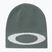 Žieminė kepurė Oakley Ellipse Beanie aviator green
