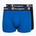Vyriškos trumpikės Champion Trunk Knit royal /blue/navy