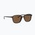 Akiniai nuo saulės Ray-Ban Leonard tortoise/brown polarized