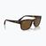 Akiniai nuo saulės Ray-Ban RB4428 havana matte/brown polarized