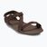 Vyriški basų kojų sandalai Xero Shoes Z-Trek brown