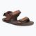 Vyriški barefoot sandalai Xero Shoes D-Trail cocoa brown/java brown