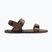 Vyriški barefoot sandalai Xero Shoes D-Trail cocoa brown/java brown