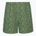 Vyriškos žygio kelnės Royal Robbins All-In algae flash pt