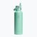 Termo gertuvė Hydro Flask Standard Flex 621 ml mermaid green