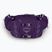 Moteriška rankinė ant juosmens Osprey Tempest 6 l violac purple