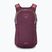 Miestinis kuprinė Osprey Daylite 13 l moody burgundy