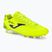 Vyriški futbolo batai Joma Aguila FG lemon fluor