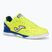 Vyriški futbolo batai Joma Top Flex Rebound IN yellow/royal