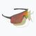Akiniai nuo saulės Rogelli Ventro Polarized grey/bordeaux/red revo